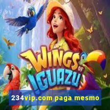 234vip.com paga mesmo